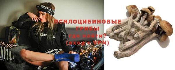 эйфоретик Киренск