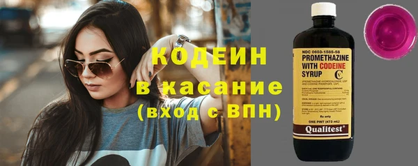 ГАЛЛЮЦИНОГЕННЫЕ ГРИБЫ Карталы