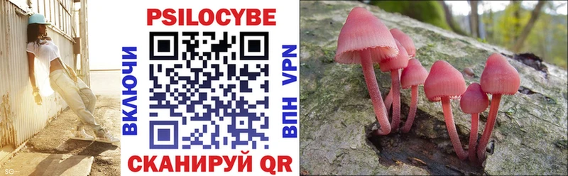 Псилоцибиновые грибы Magic Shrooms Олонец
