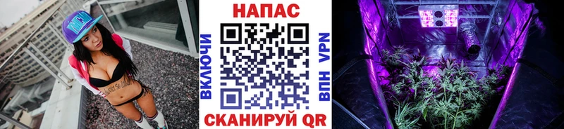 закладки  Олонец  Марихуана ГИДРОПОН 